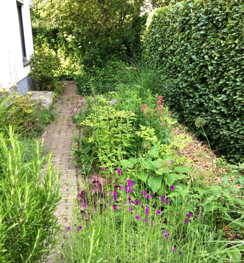 villatuin-warnsveld5