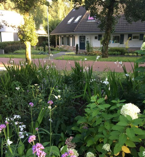 voortuin-warnsveld4